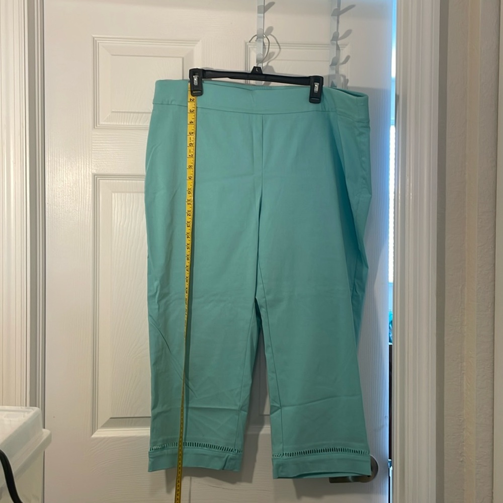 NWOT Emaline  size 20w pull on pants in a seafoam green/blue.